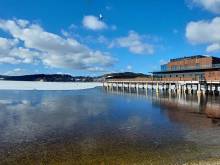 Bonites - apartmán Lipno - Lipno nad Vltavou
