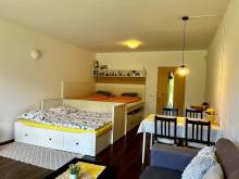 Apartmán u Tesáka - Apartmány Říčky - Říčky v Orlických horách