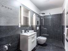 Plessberg Apartments Plešivec - Abertamy
