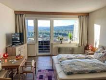 Malebný apartmán na Šumavě - Haidmühle