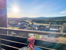 Malebný apartmán na Šumavě - Haidmühle