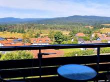 Malebný apartmán na Šumavě - Haidmühle