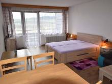 Malebný apartmán na Šumavě - Haidmühle