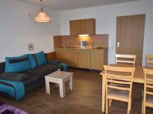 Malebný apartmán na Šumavě - Haidmühle