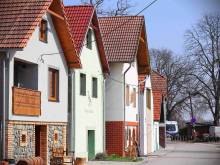 Sklípek U píchlé galusky - Strachotín