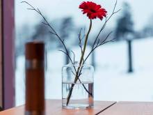 Apartmán Záskalí - Záskalí