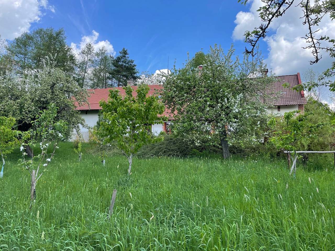 Apartmány Imladris roubenka - Hlinné
