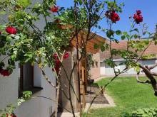 Apartmán Běstvina - Běstvina