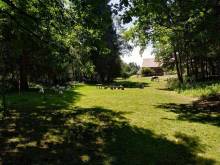 Statek Štrobl - Radostice u Borovan