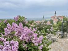 Dream Apt - Mikulov