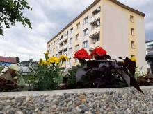 Apartmán Helena Harrachov - Harrachov