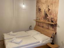 Apartmán Hubertus No 2 - Karlova Studánka