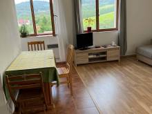 Apartmán v Kašperských Horách - Kašperské Hory