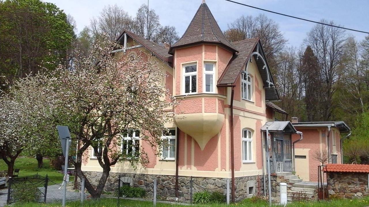 Vila Magnolie u lázeňského parku - Lipová-lázně