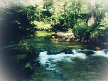 Anna v říční zátoce - Bartošovice v Orlických horách