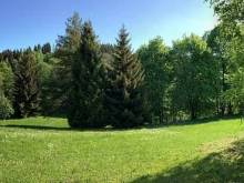 Anna v říční zátoce - Bartošovice v Orlických horách