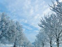 Anna v říční zátoce - Bartošovice v Orlických horách