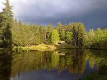 Hogo Fogo chaty - Falknov