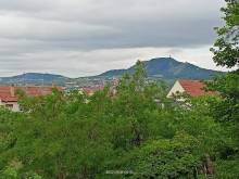 Ubytování Pálavské slunéčko - Šakvice