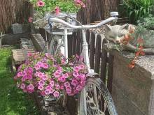 Ubytování u Mračků - Mladoňovice