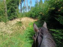 Beskydy na dlani - Véska