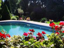 Royal Garden Apartmets *** - Štítary
