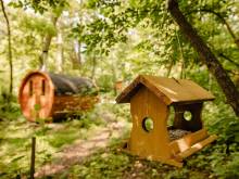 Yurt in the Wood - Hvězda
