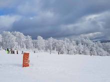 Apartmán Šumava Almberg - Mitterfirmiansreut