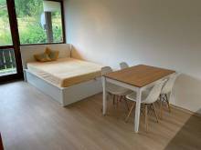Horský apartmán pod Arberem - Bayerisch Eisenstein