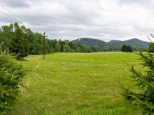 Pension U Lesa - Maxov
