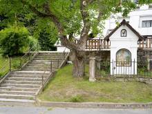 Pension U Lesa - Maxov