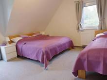 Apartmán k pronajmutí Cvikov - Cvikov