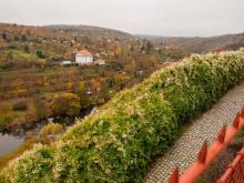 Apartmány Na Vyhlídce - Znojmo