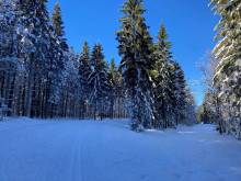 Apartmán 261 Aotearoa - Skiareál Mitterdorf - Mitterfirmiansreut