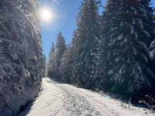 Apartmán 261 Aotearoa - Skiareál Mitterdorf - Mitterfirmiansreut