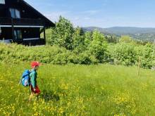 Apartmán 261 Aotearoa - Skiareál Mitterdorf - Mitterfirmiansreut
