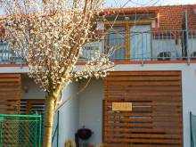 Apartmán Pálava - Dolní Dunajovice