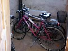 Apartmán Pohoda - Rokytnice v Orlických horách