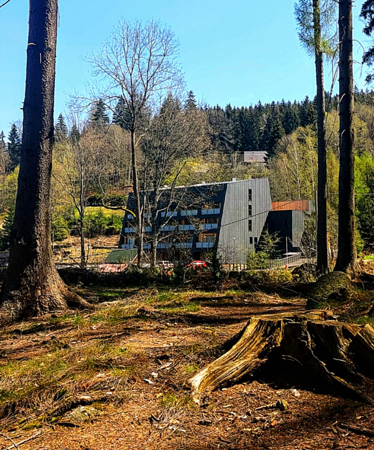 Apartmán Na kraji lesa - Janov nad Nisou