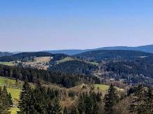 Apartmán Na kraji lesa - Janov nad Nisou