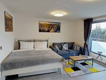 Apartmán Na kraji lesa - Janov nad Nisou