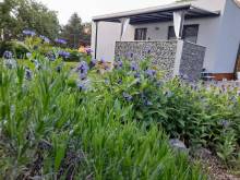 Apartman Moravský Kras - Rájec-Jestřebí
