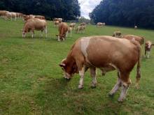 Penzion Mikeš - Dolní Sokolovec