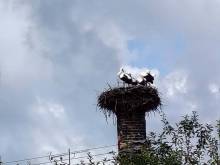 VerLiBa - Lipová-lázně