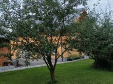 VerLiBa - Lipová-lázně