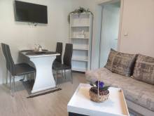 Apartman Oto - Svoboda nad Úpou