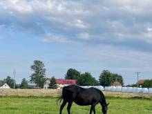 Ubytování u Rozárky - Trpnouze