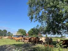 Ubytování u Rozárky - Trpnouze