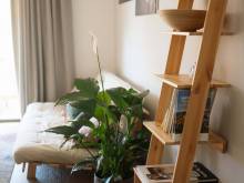 Apartmány Staroměstská romance - Staré Město pod Sněžníkem