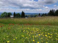 Pension Pochop - Benecko